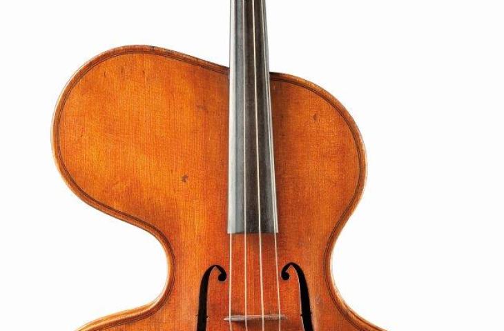 Violino arpa, Thomas Zach, Vienna, 1873, inv. 1359