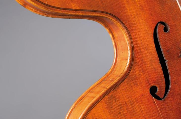 Violino arpa, Thomas Zach, Wenen, 1873, inv. 1359