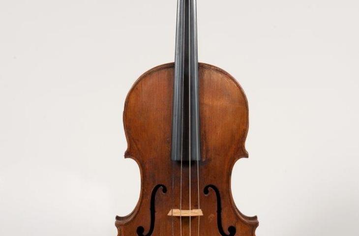 Viola, Matthijs Hofmans, Antwerp, before 1679, inv. 2846