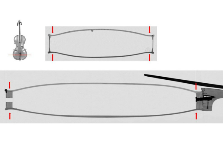 Transverse and sagittal view of the viola by Matthijs Hofmans, inv. 2846