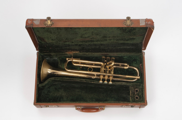 The trumpet in its case