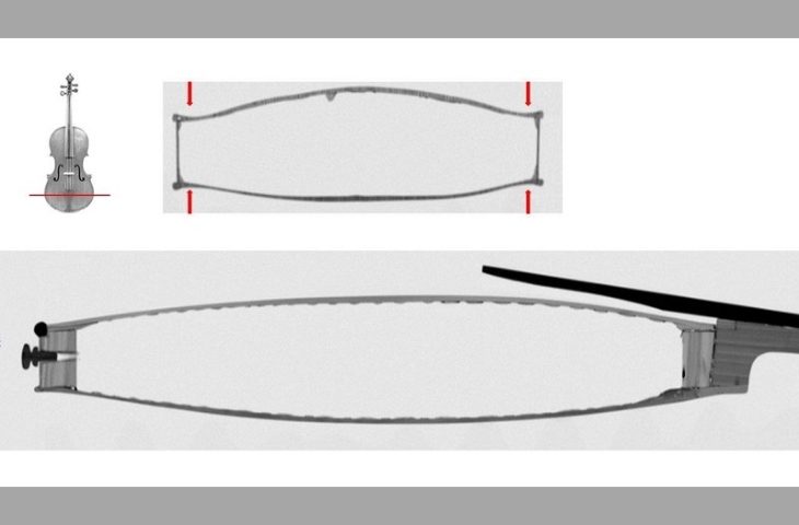 Coupe transversale et sagittale de l’alto de Matthijs Hofmans